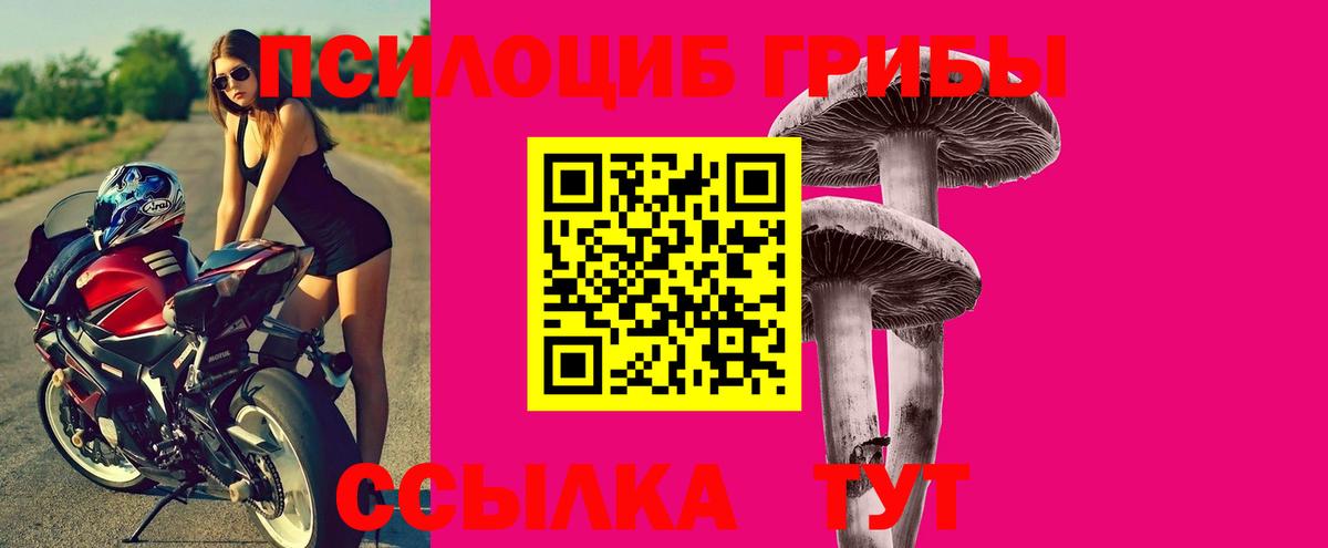 Ликино-Дулёво  Псилоцибиновые грибы Psilocybe  Вход с VPN 